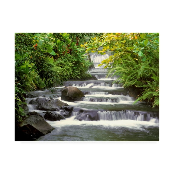 Trademark Fine Art 'Terraced Falls' Canvas Art by Monte Nagler