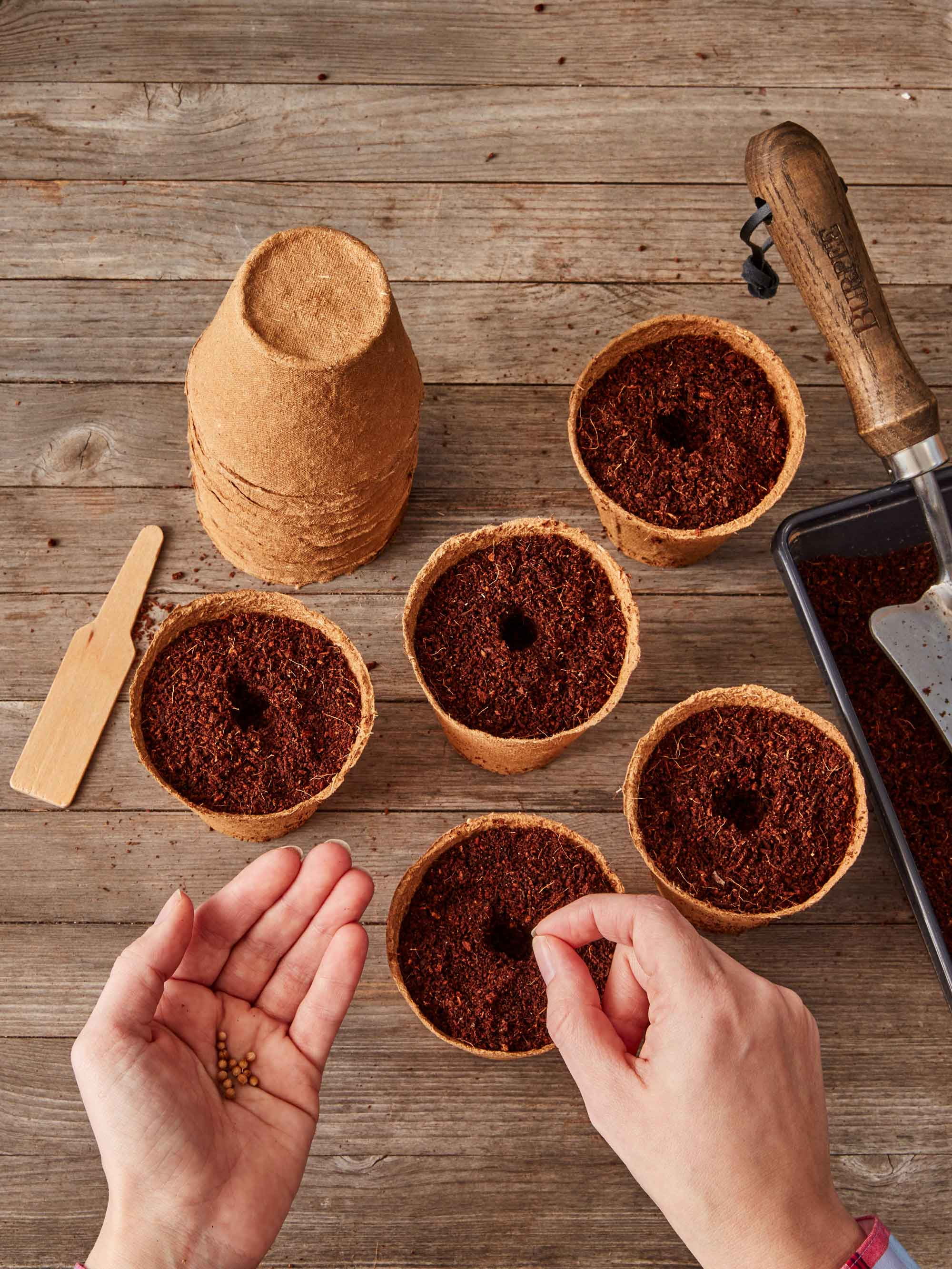 Burpee Eco-Friendly 3" Round Fiber Pots for Seed Starting - 18 Fiber Pots per Package