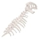thumbnail image 4 of Disfraz de esqueleto de dinosaurio 3D para Halloween, regalo realista para espectáculos y fiestas. Blanco 80 cm, 4 of 9