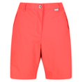 thumbnail image 1 of Regatta - Pantalones Cortos Chaska II para Mujer (Melocotón Neón), 1 of 4