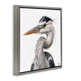 thumbnail image 3 of Stupell Industries Transitional Stoic Heron Looking Left Gray Floating Frame Canvas Art, 18 x 18, by RB, 3 of 8