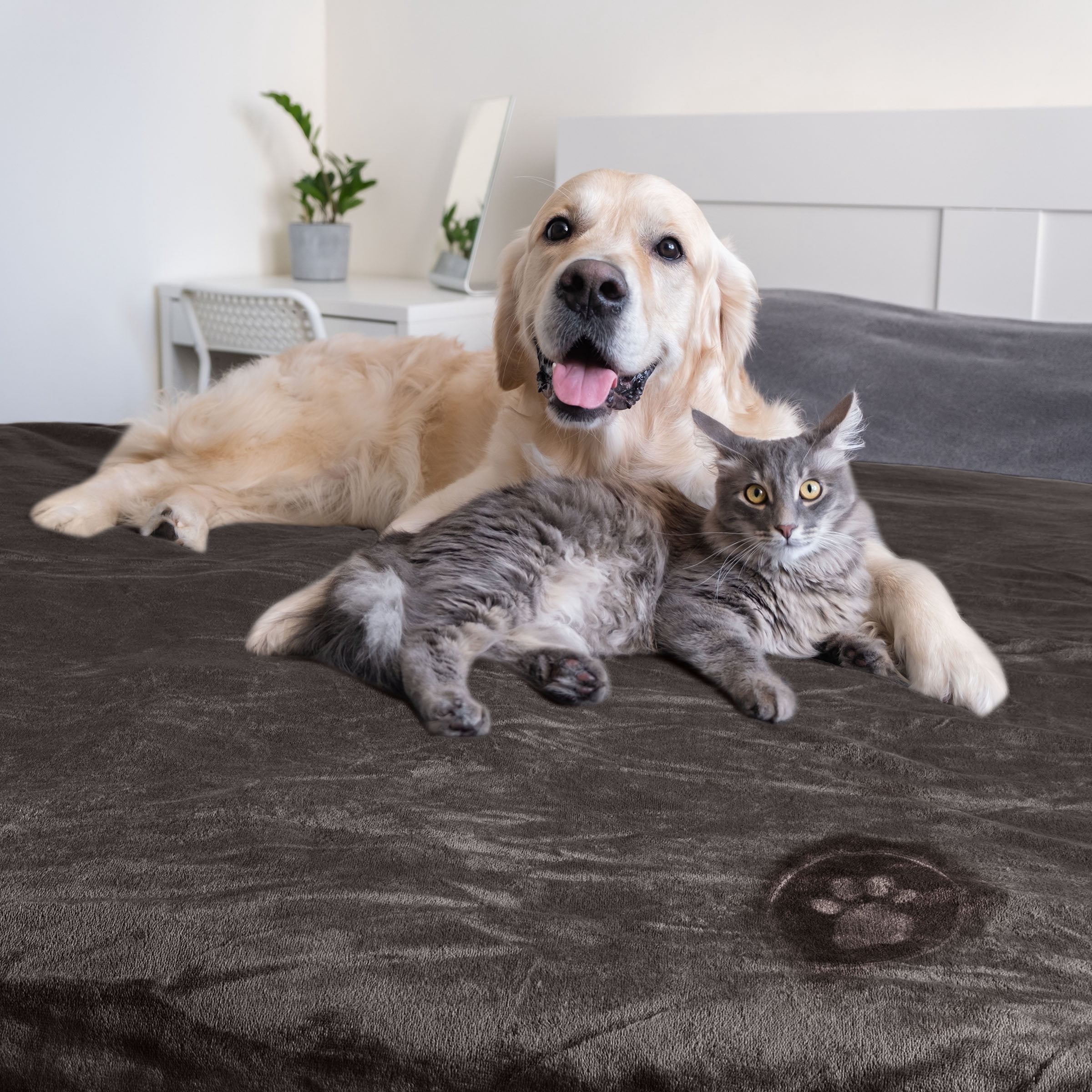 PETMAKER Dog Blanket - Sherpa Blanket for Bed, Couch or Car (Charcoal)
