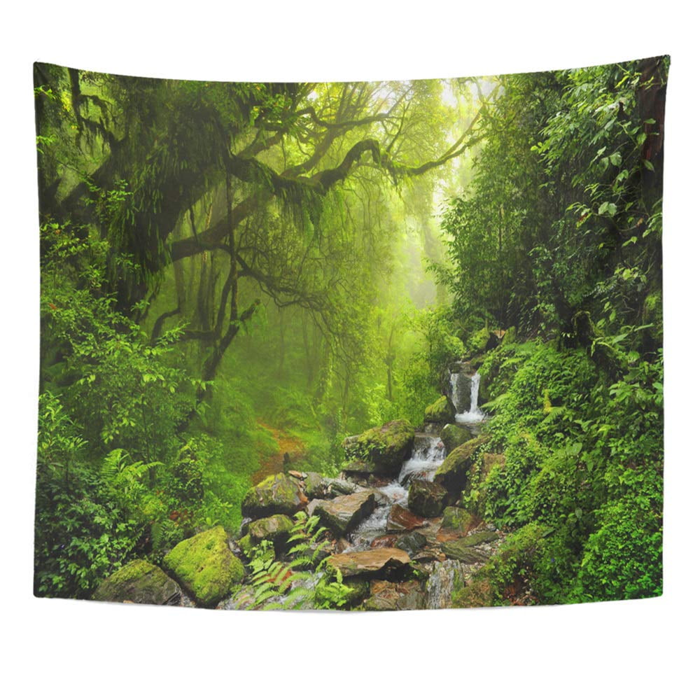 REFRED Green Rainforest Subtropical Forest in Nepal Jungle Wall Art Hanging Tapestry Home Decor
