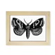 thumbnail image 1 of Mariposa negra con un patron simple Escritorio de madera Arte Pintura 6x8 pulgadas marco de foto foto, 1 of 4