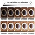 thumbnail image 2 of Luz de espejo CHAO kit de luz LED regulable 10 bombillas 3 colores 10 niveles de brillo, 2 of 5