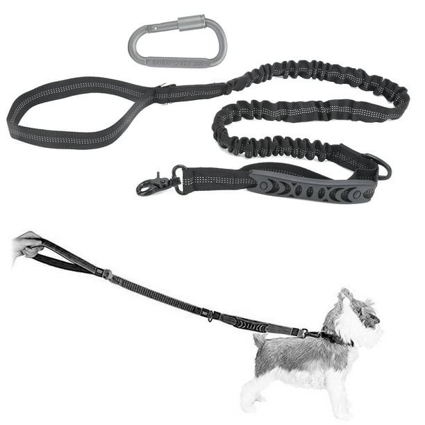 Bungee leash hotsell dog training