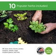 thumbnail image 4 of REALPELATED Indoor Herb Garden Kit 10 Non-GMO Herbs- Window Herb Garden Kit with 10 Reusable Pots, Herbs, Drip Trays, Soil Discs - Window Plant Growing Kit - Kitchen Herb Garden Kit, 4 of 6
