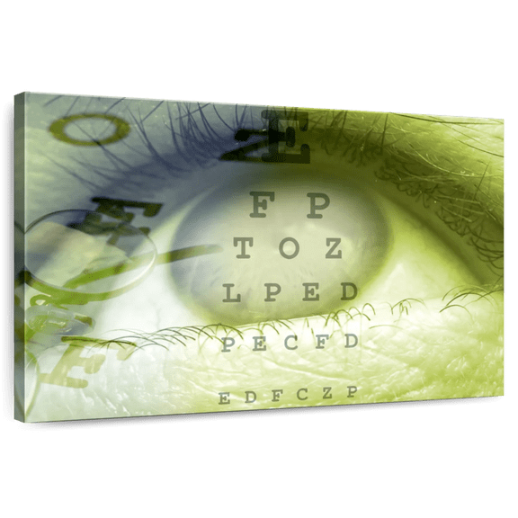 Elephant Stock Eye Vision Wall Art - Horizontal Canvas Wall Art - Office Wall Decor - Profession Canvas - Green And Gray Decor - 12" x 8"