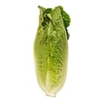 thumbnail image 3 of Corazones de lechuga Mr. Lucky orejona 3 piezas, 3 of 4