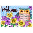 thumbnail image 1 of Carolines Treasures PJC1095CMT Welcome Owl Kitchen & Bath Mat, 20 x 30, 1 of 1