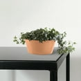 thumbnail image 3 of Ecopots 11.8" x 11.8" x 5.9" Round Terracotta Plastic Flower Pot with Drainage Holes, 3 of 4