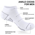 thumbnail image 2 of DIFFYBOX 10 Pairs Mens Ankle Socks Cushioned, Moisture Wicking Sports Breathable Casual Athletic Socks for Men 10-13, 2 of 5