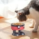 thumbnail image 5 of Aparatos de cocina, Accesorios de cocina, Comedero de acero inoxidable para perros, Comedero antideslizante para perros, Comedero para gatos, Comedero para evitar vuelcos, Comedero para gatos de patas, 5 of 6