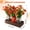 Orange#B, variant on Mason Jar Table Centerpiece with Wood Tray, LED Lights & Faux Flowers – Orange Farmhouse Decor for Dining Room