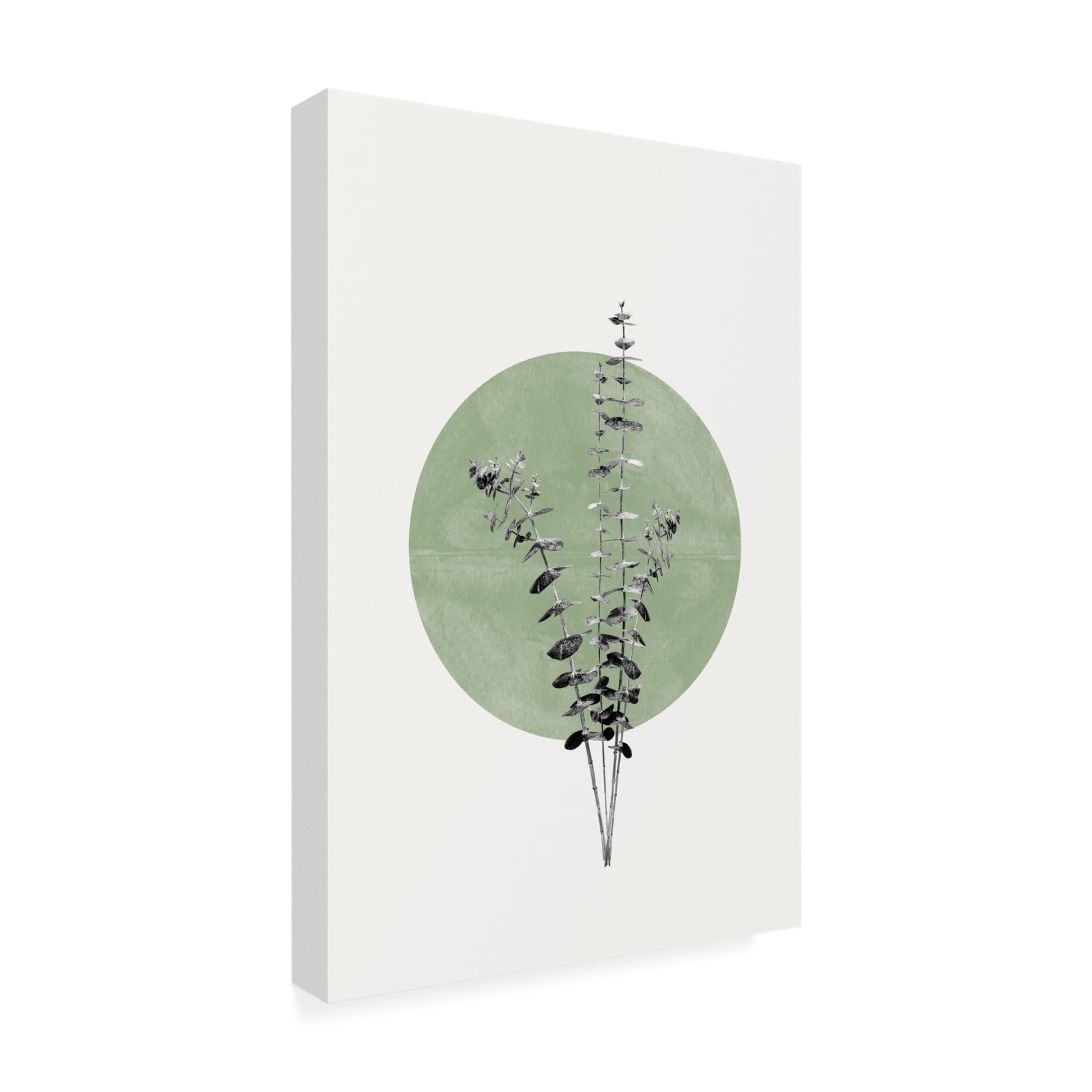 Canvas Wall Art - THE MIUUS STUDIO 'Eucalyptus and Green Moon' Wall Art for Living Room, Bedroom, or Office Décor by Trademark Fine Art - 22 x 32 Inches