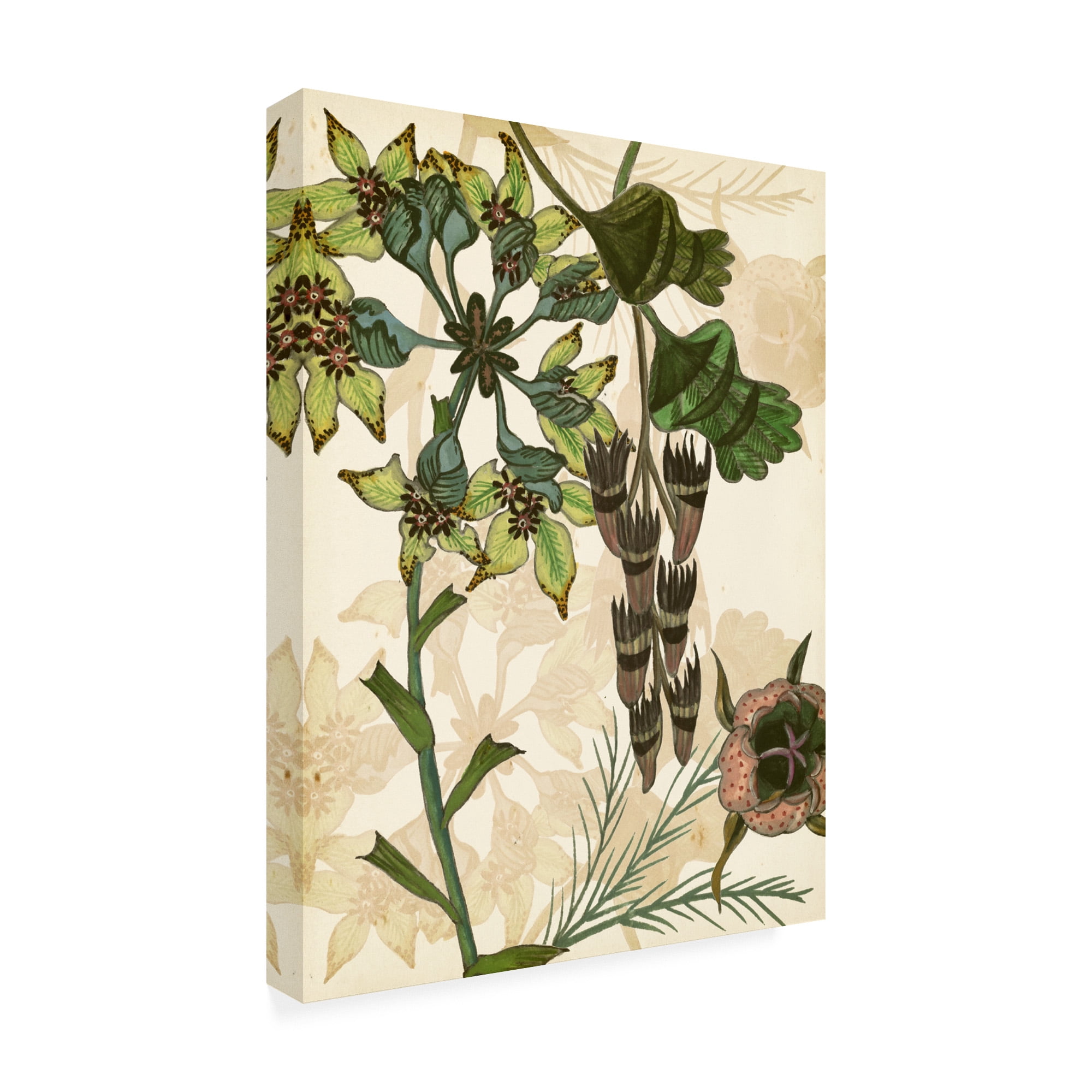 Trademark Fine Art 'Enchanted II' Canvas Art by Melissa Wang