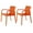 Orange, variant on Lagoon Alissa Resin Stackable Dining Armchair Set of 2