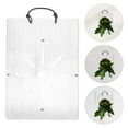 thumbnail image 6 of WEUVEB Clear Acrylic Wall Planter with Easy Mount Backboard, Modern Hanging Indoor Plant Holder for Home and Office Decor, 6 of 8