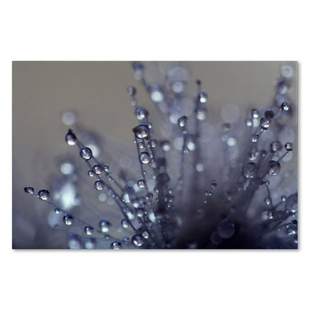 - Trademark Fine Art