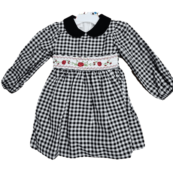 Bonnie Jean Baby Girls Floral-Smocked Checked with Roses A-Line Dress 24 Months