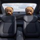 thumbnail image 5 of Funda de almohada para coche con cremallera de oso malvado, adorable funda de almohada para coche con estampado de oso por todas partes, funda de poliéster para asiento de coche, 5 of 6