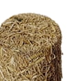 thumbnail image 6 of 4 Pieces Mini Hay Bales Portable Miniature for Sand Table Halloween Garden Round, 6 of 8
