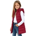 thumbnail image 2 of Jalioing Puffer Vest for Kids Lightweight Sleeveless Zip Up Hooded Long Jacket Casual Thermal Winter Outerwear with Pocket, 2 of 9