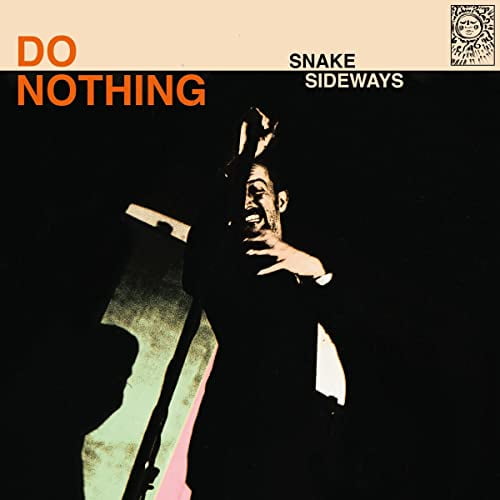 Do Nothing Snake Sideways (Vinyl Record) 12" Album