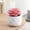 D, variant on HOARBOEG Mini Plastic Potted Artificial Fake Plants for Home Office Desk Decor Indoor Faux Greenery Gift