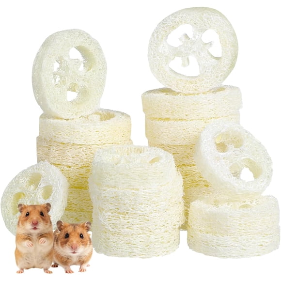 20 Pcs Jouet à Mâcher en Loofah pour Animaux de Compagnie, Jouet à Mâcher Naturel pour Petits Animaux, Jouet Molaire pour Petits Animaux, Soins Bucco-Dentaires, Nettoyage des Dents de Lapin et de Hamsters pour des Dents Saines et Divertissement