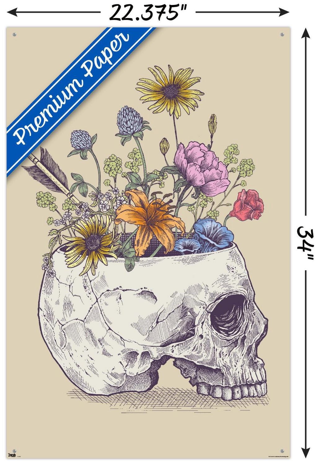 Rachel Caldwell - Flower Skull Wall Poster