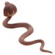 thumbnail image 5 of Simulation Reptile Model for Cobra Snake Amphibious Spectacles Kingsnake Model Tidy Toy Ornaments, 5 of 5
