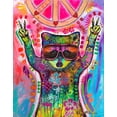 thumbnail image 2 of Dean Russo Collection 20x24 Gold Ornate Wood Framed with Double Matting Museum Art Print Titled - Cosmic Trash Panda for Universal Peace, 2 of 4