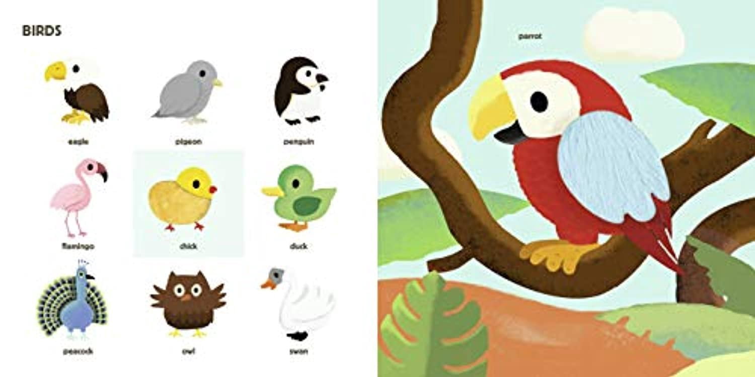 Touch-And-Feel Books Touch! My Big Touch-And-Feel Word Book, Book 1, (Hardcover)
