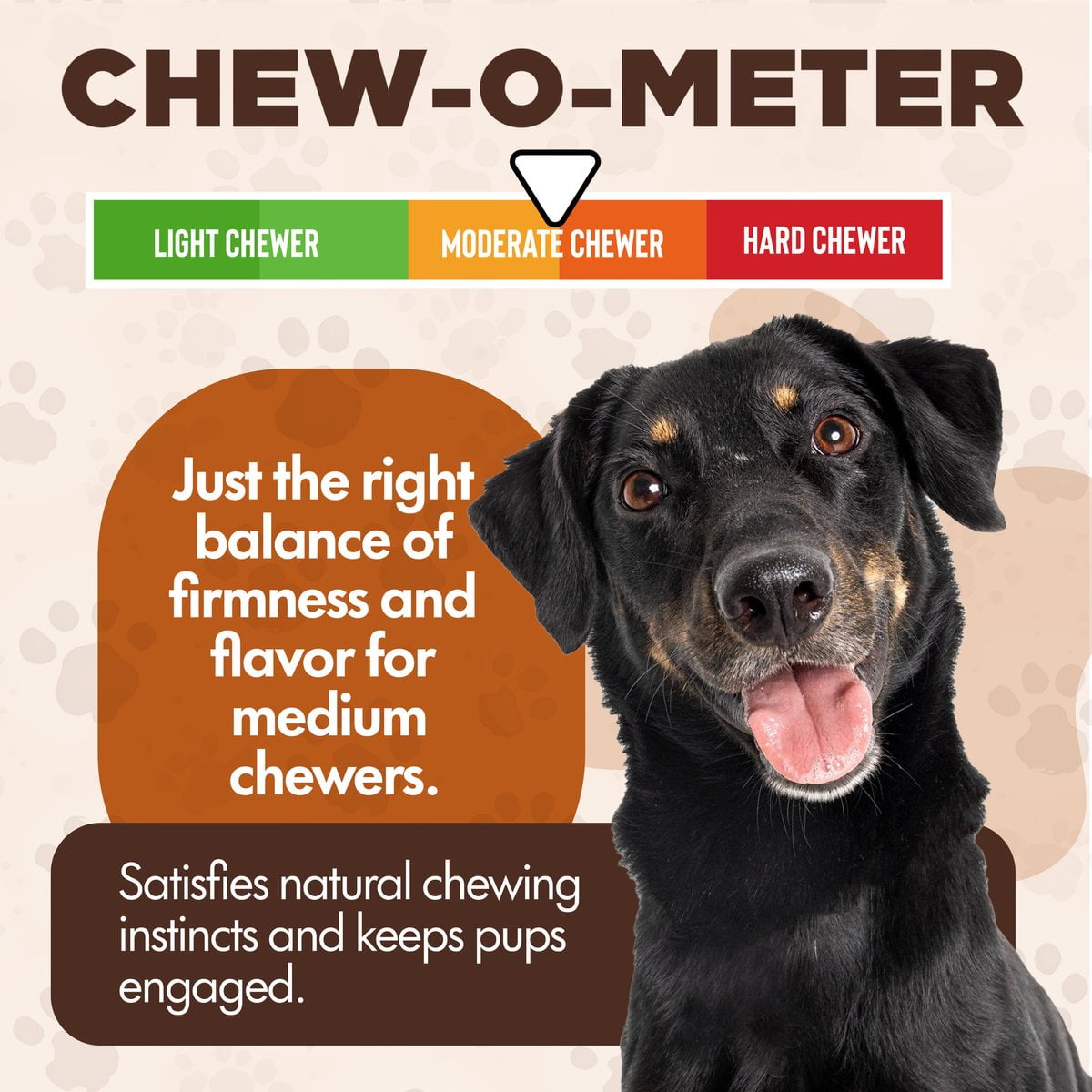 Scoochie Pet Chewka Mixed Variety Pack Bacon, Chicken & Cheese Flavored Plant-Forward Fully Digestible Dog Chew Bone, Large, 6CT