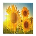thumbnail image 4 of Práctico Tratamiento De Ventana Decorativo Paisaje De Poliéster Cortina Opaca De Impresión En 3D, 2 Paneles / (59 '' W '' L) Girasol Soledad Cortina de poliéster, 4 of 8