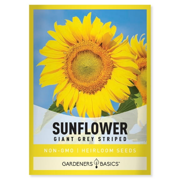 Grey Stripe Sunflower Seeds