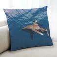 thumbnail image 1 of Ahgly Company Animals Shark Coussin d'Intérieur, 18 Pouces par 18 Pouces, 1 of 6