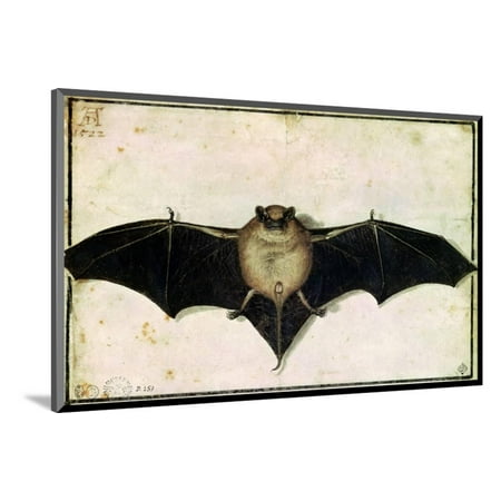 Bat 1522 Wood Mounted Print Wall Art By Albrecht Dürer