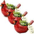 thumbnail image 2 of Cardinal Bird Succulent Planter – Red Resin Cardinal Outdoor Decor Planter – Decorative Animal Flower Pot for Garden, Patio, Balcony – Gift for Bird Lovers (3PCS), 2 of 6