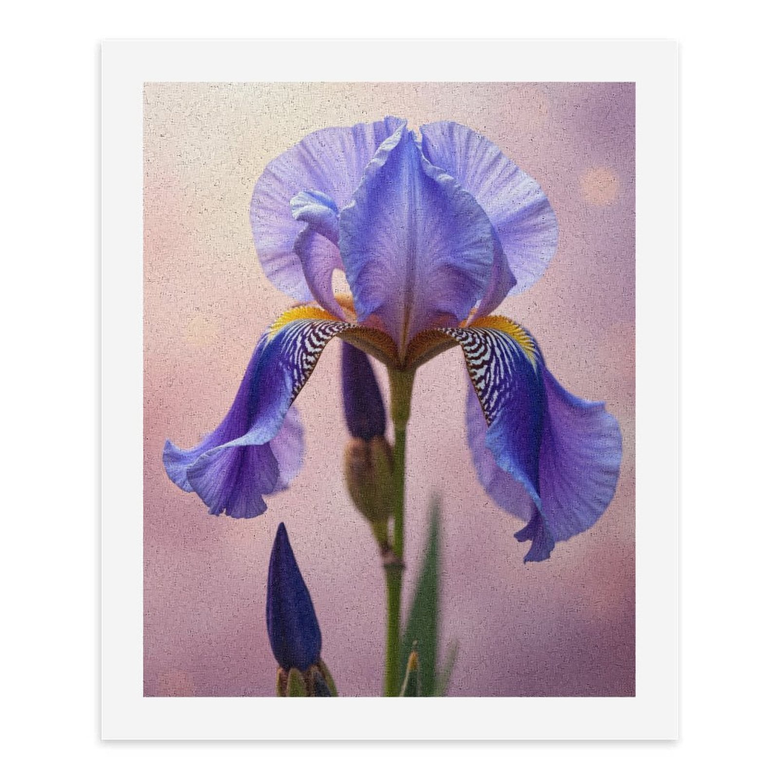 Paint by Numbers Kit for Adults, Purple Iris Flower Blossom Paint by Numbers, Easy Paint by Numbers Kit for Adults Beginner, DIY Adult Paint by Number Kits on Canvas, Home Decor