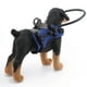 thumbnail image 5 of Dispositivo De Guía De Arnés Para Perros Ciegos, Anillo Anticolisiónico Para Justable Para Perros Ciegos, Chaleco Con Arnés Para Perros Ciegos Para Prevenir Accidentes Y, 5 of 7