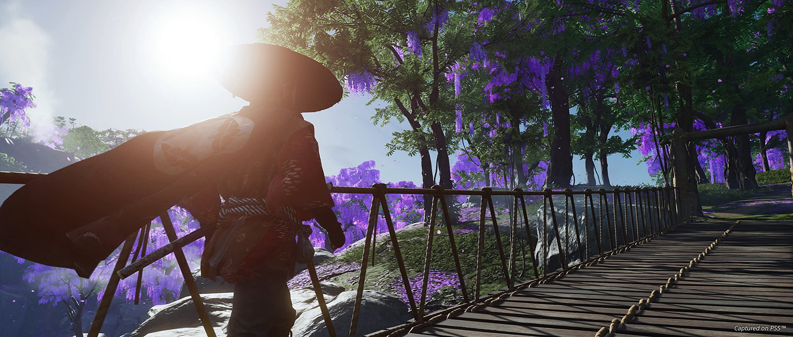 Ghost of Tsushima: Director's Cut, Sony, PlayStation 4, 711719548829