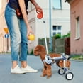thumbnail image 2 of LetPetRun Dog Wheelchair for Back Legs, Adjustable Pet Wheelchair for Small Dogs Hind Leg Mobility Support, Lightweight Aluminum Dog Cart, White, XS, 2 of 6