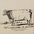 thumbnail image 2 of Cow Feed Sack Feed Sack Throw Pillow, 20" x 20", 2 of 4