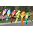 thumbnail image 4 of kurtrusly 12Pcs Foam Birds Feather Simulation Parrot for Party Wedding Decor with Claw, 4 of 9