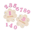 thumbnail image 2 of lionlar Baby Monthly Milestone Cards Sign Gift Keepsake Memories Unique Double Sided Pink, 2 of 8