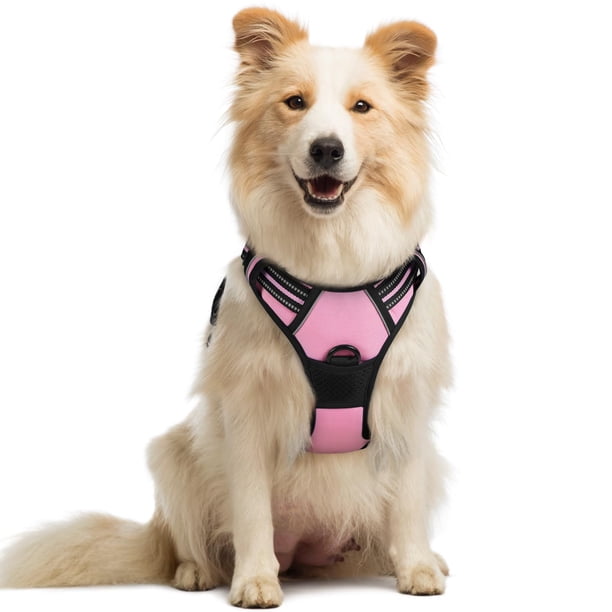 Arnés para perros Rabbitgoo sin tirones, ajustable, acolchado suave, rosa M