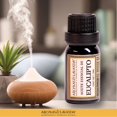 thumbnail image 3 of Aceite Esencial Aromas & Lavanda Eucalipto Fresco Descongestionante 10 ml, 3 of 4