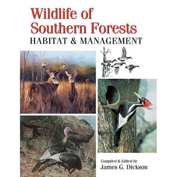 Wildlife of Southern Forests: Habitat & Management (Paperback)